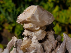 Natural Fluorescent Sceptre Quartz Coated Spearhead Calcite Pseudomorph Cluster x 1 From Albert's Mountain, Lesotho