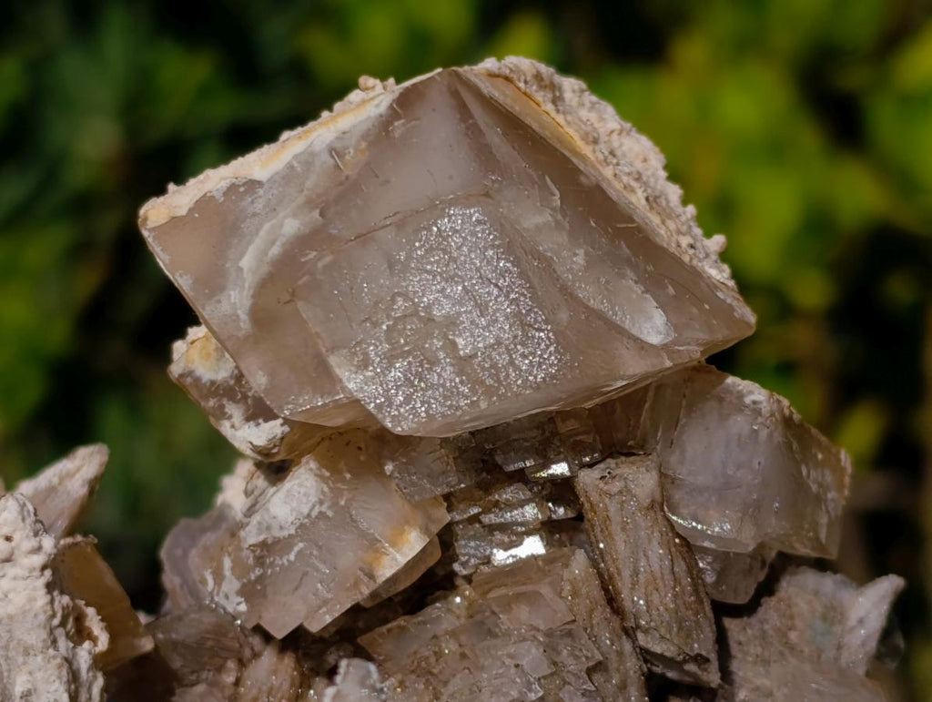Natural Fluorescent Sceptre Quartz Coated Spearhead Calcite Pseudomorph Cluster x 1 From Albert's Mountain, Lesotho