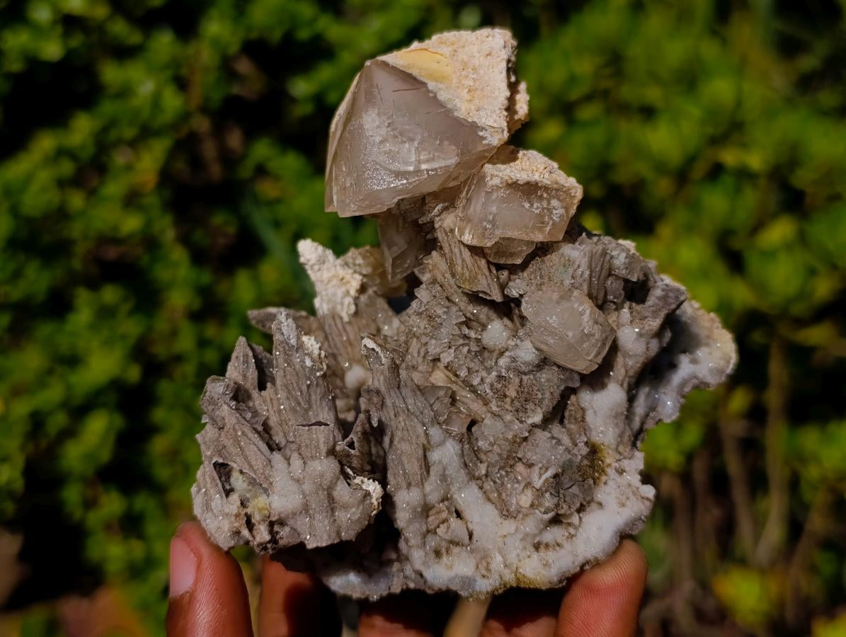 Natural Fluorescent Sceptre Quartz Coated Spearhead Calcite Pseudomorph Cluster x 1 From Albert's Mountain, Lesotho