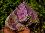 Natural Large Stichtite and Serpentine Rough Colourful Rare Specimen x 1 From Barberton, South Africa