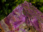 Natural Large Stichtite and Serpentine Rough Colourful Rare Specimen x 1 From Barberton, South Africa