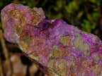 Natural Large Stichtite and Serpentine Rough Colourful Rare Specimen x 1 From Barberton, South Africa