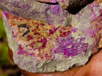 Natural Large Stichtite and Serpentine Rough Colourful Rare Specimen x 1 From Barberton, South Africa