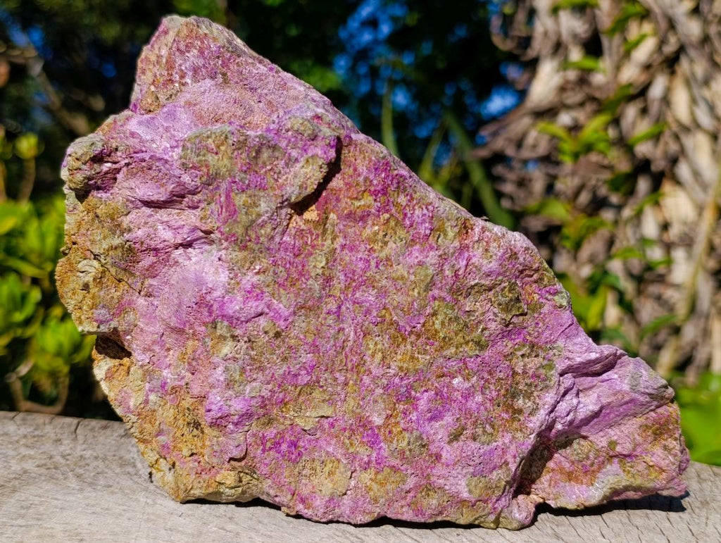 Natural Large Stichtite and Serpentine Rough Colourful Rare Specimen x 1 From Barberton, South Africa