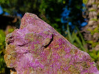 Natural Large Stichtite and Serpentine Rough Colourful Rare Specimen x 1 From Barberton, South Africa