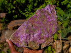 Natural Large Stichtite and Serpentine Rough Colourful Rare Specimen x 1 From Barberton, South Africa