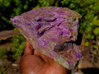 Natural Large Stichtite and Serpentine Rough Colourful Rare Specimen x 1 From Barberton, South Africa