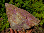 Natural Large Stichtite and Serpentine Rough Colourful Rare Specimen x 1 From Barberton, South Africa