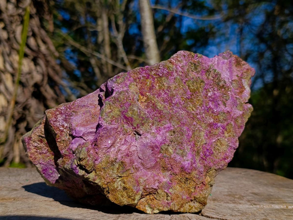 Natural Large Stichtite and Serpentine Rough Colourful Rare Specimen x 1 From Barberton, South Africa