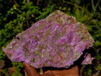 Natural Large Stichtite and Serpentine Rough Colourful Rare Specimen x 1 From Barberton, South Africa