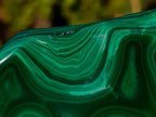 Polished Multi Ring Malachite Flat Plate Display Piece x 1 From Kolwezi, Congo