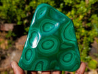 Polished Multi Ring Malachite Flat Plate Display Piece x 1 From Kolwezi, Congo