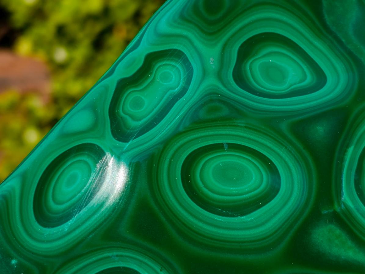Polished Multi Ring Malachite Flat Plate Display Piece x 1 From Kolwezi, Congo