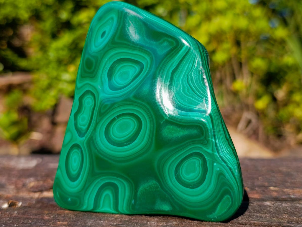 Polished Multi Ring Malachite Flat Plate Display Piece x 1 From Kolwezi, Congo