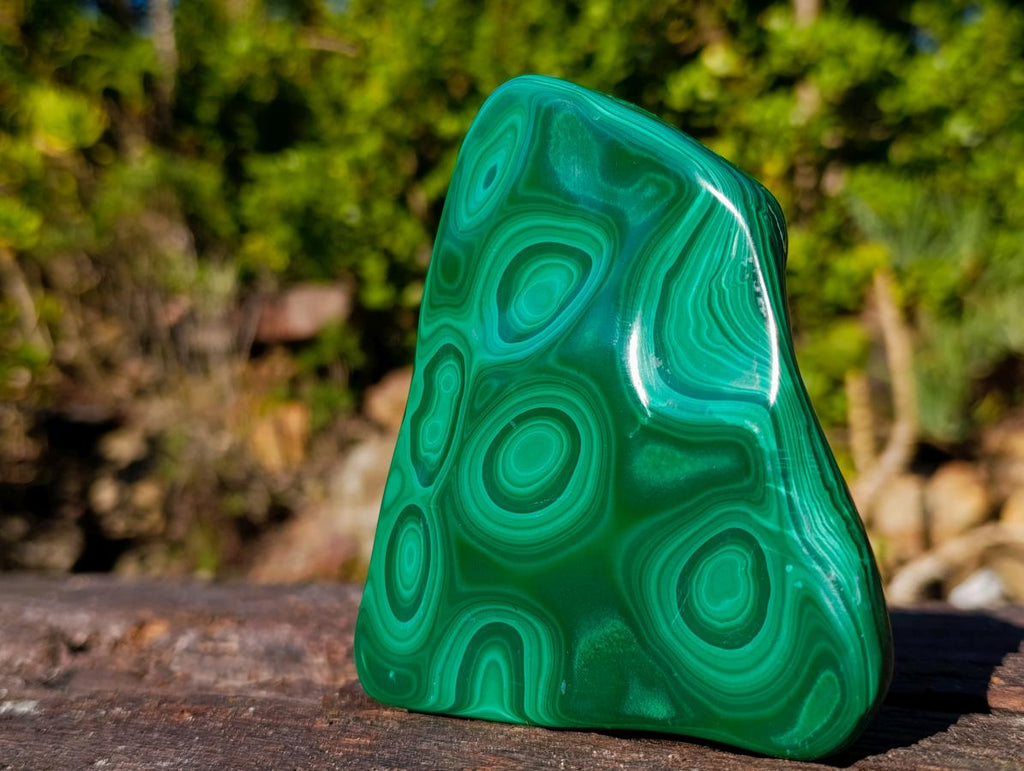 Polished Multi Ring Malachite Flat Plate Display Piece x 1 From Kolwezi, Congo