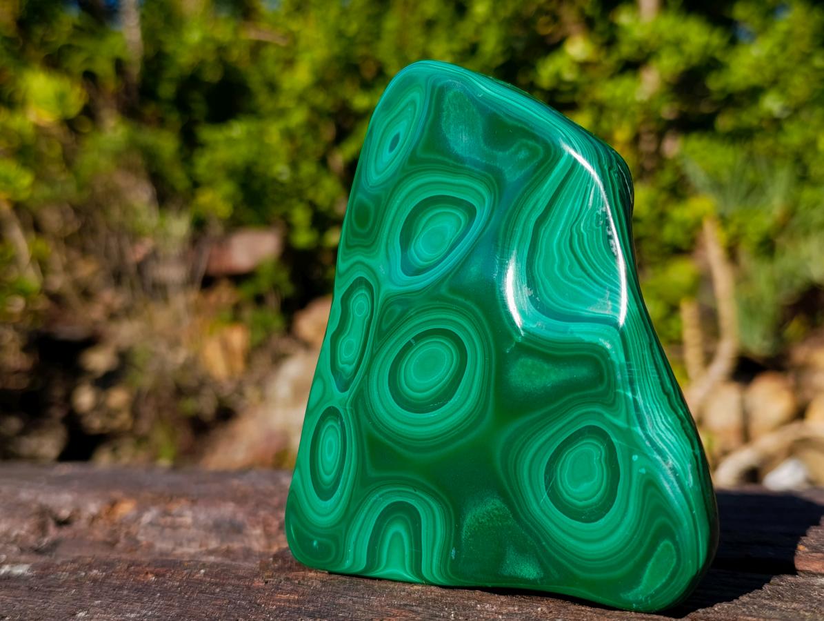 Polished Multi Ring Malachite Flat Plate Display Piece x 1 From Kolwezi, Congo