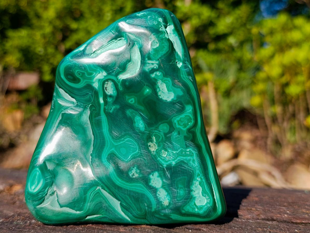 Polished Multi Ring Malachite Flat Plate Display Piece x 1 From Kolwezi, Congo
