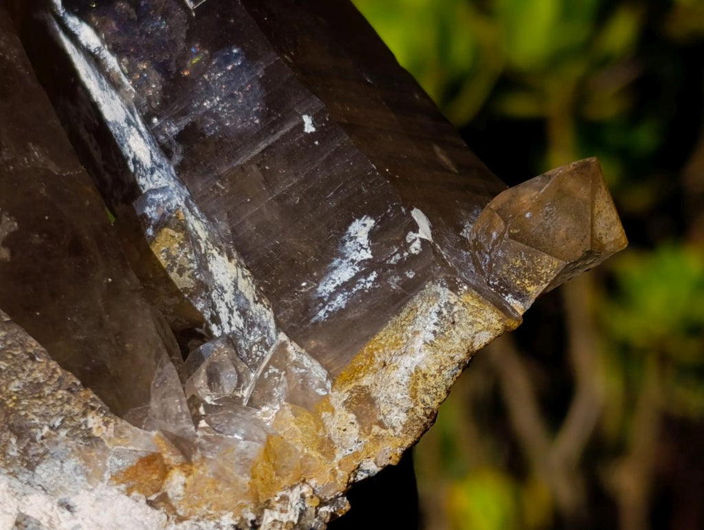 Natural Classic Smokey Twin Erongo Quartz with Fluorescent Hyalite Opal x 1 From Erongo, Namibia