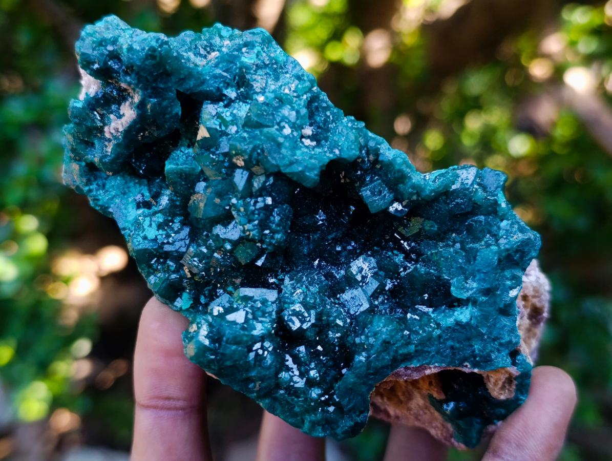 Natural Exquisite Large Dioptase Specimen with Large Emerald Green Crystals x 1 From Tantara, Congo