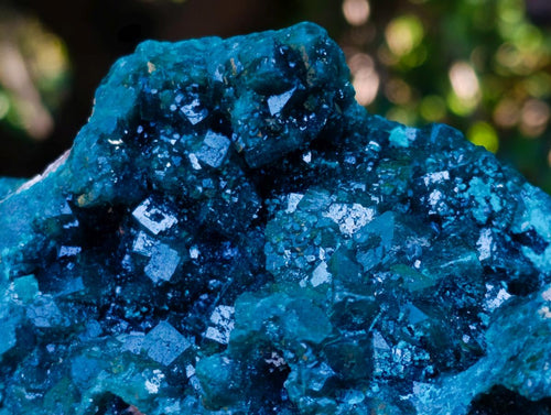 Natural Exquisite Large Dioptase Specimen with Large Emerald Green Crystals x 1 From Tantara, Congo