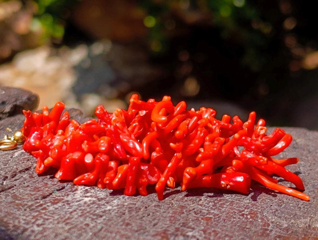 Hand Made Authentic Frangia Natural Red Coral Necklace x 1 From Italy