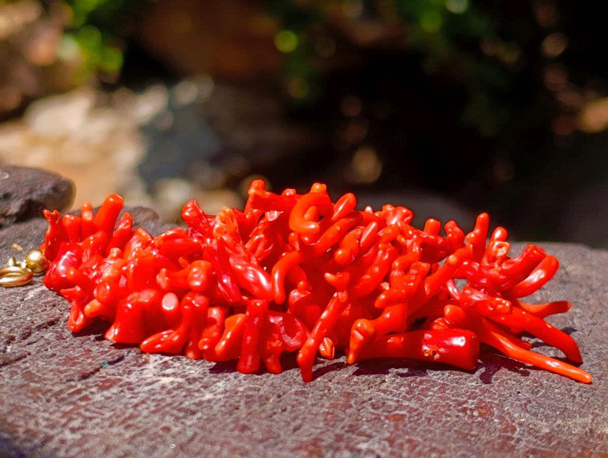 Hand Made Authentic Frangia Natural Red Coral Necklace x 1 From Italy