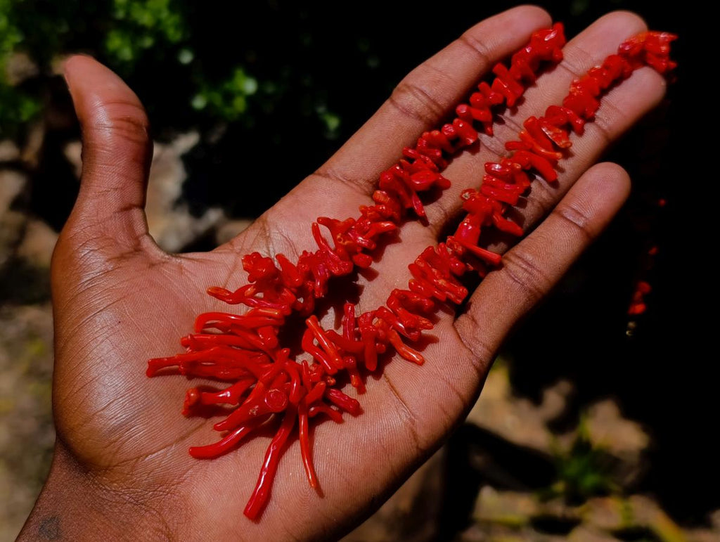 Hand Made Authentic Frangia Natural Red Coral Necklace x 1 From Italy
