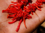 Hand Made Authentic Frangia Natural Red Coral Necklace x 1 From Italy