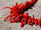 Hand Made Authentic Frangia Natural Red Coral Necklace x 1 From Italy