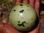 Polished Spotted Leopard Stone Sphere with Stand x 1 From Nyanga, Zimbabwe