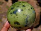 Polished Spotted Leopard Stone Sphere with Stand x 1 From Nyanga, Zimbabwe