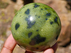 Polished Spotted Leopard Stone Sphere with Stand x 1 From Nyanga, Zimbabwe
