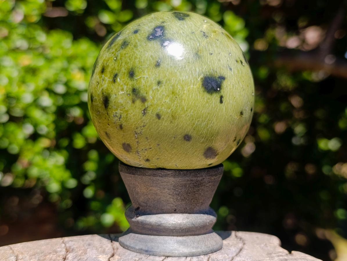 Polished Spotted Leopard Stone Sphere with Stand x 1 From Nyanga, Zimbabwe