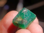 Natural Set of 5 16.41 Carat Sandawana Emerald Crystals x 1 From Sandawana, Zimbabwe
