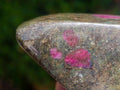 Polished Red Fluorescent Ruby Corundum in Chrome Green Verdite Free Form x 1 From Zimbabwe