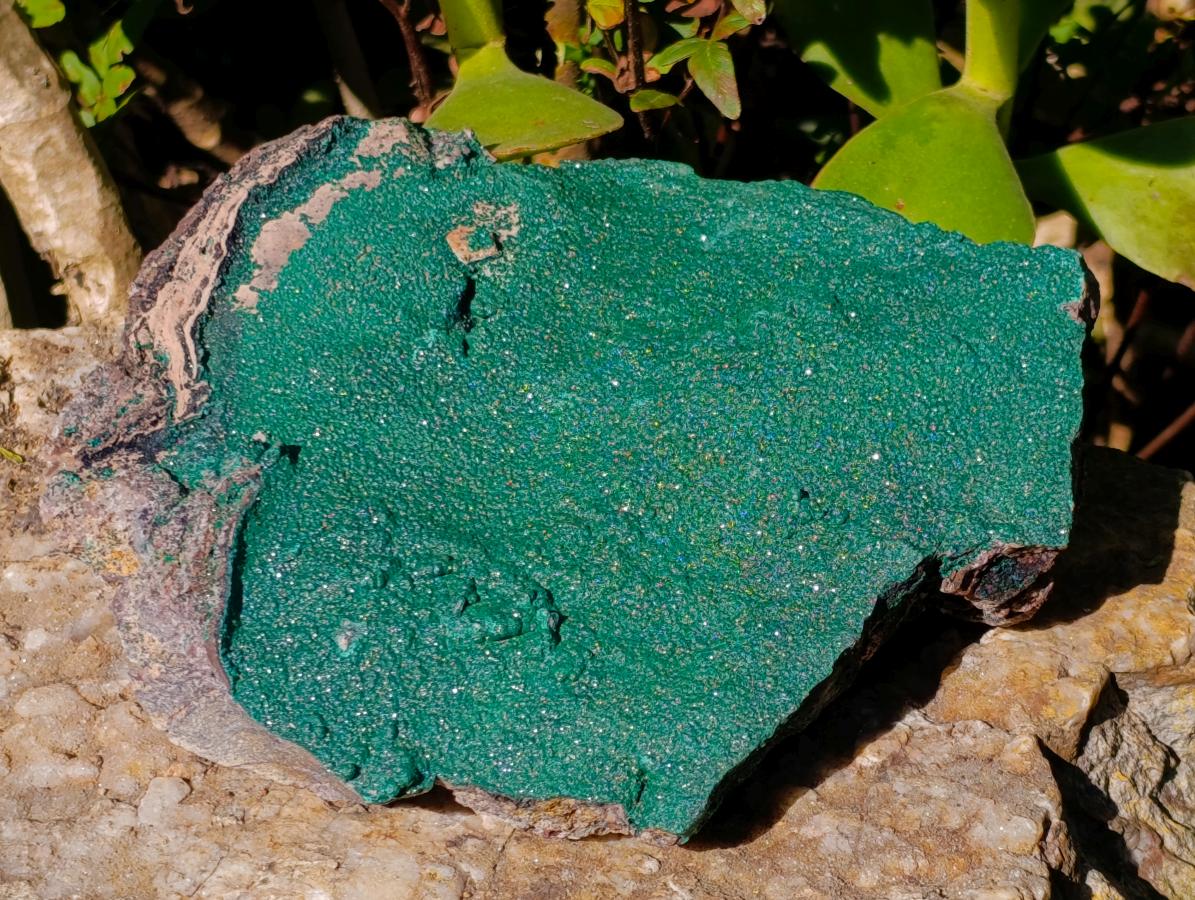 Natural Large Botryoidal Crystalline Malachite Plate Specimen x 1 From Tenke Fungurume, Congo