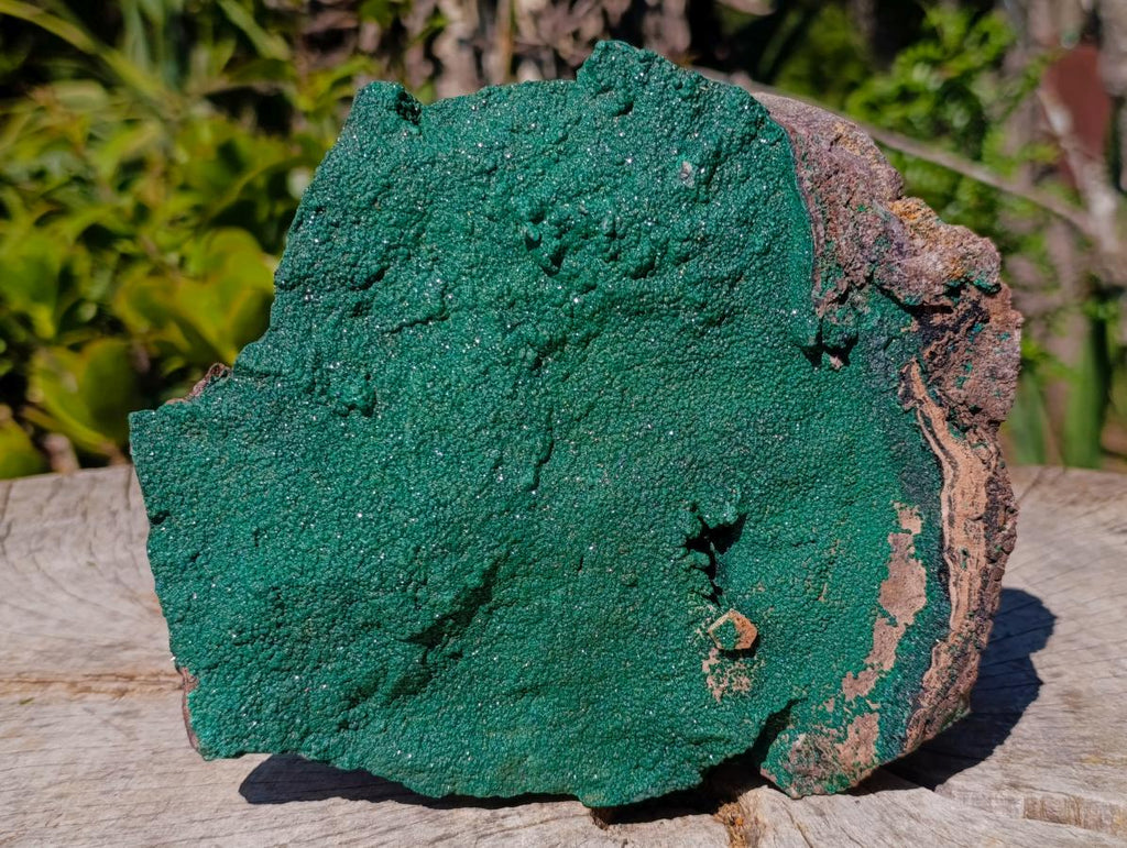 Natural Large Botryoidal Crystalline Malachite Plate Specimen x 1 From Tenke Fungurume, Congo