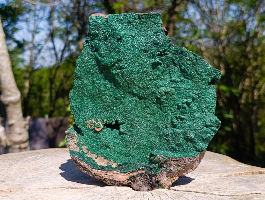 Natural Large Botryoidal Crystalline Malachite Plate Specimen x 1 From Tenke Fungurume, Congo