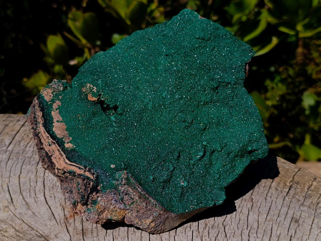 Natural Large Botryoidal Crystalline Malachite Plate Specimen x 1 From Tenke Fungurume, Congo