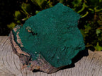 Natural Large Botryoidal Crystalline Malachite Plate Specimen x 1 From Tenke Fungurume, Congo