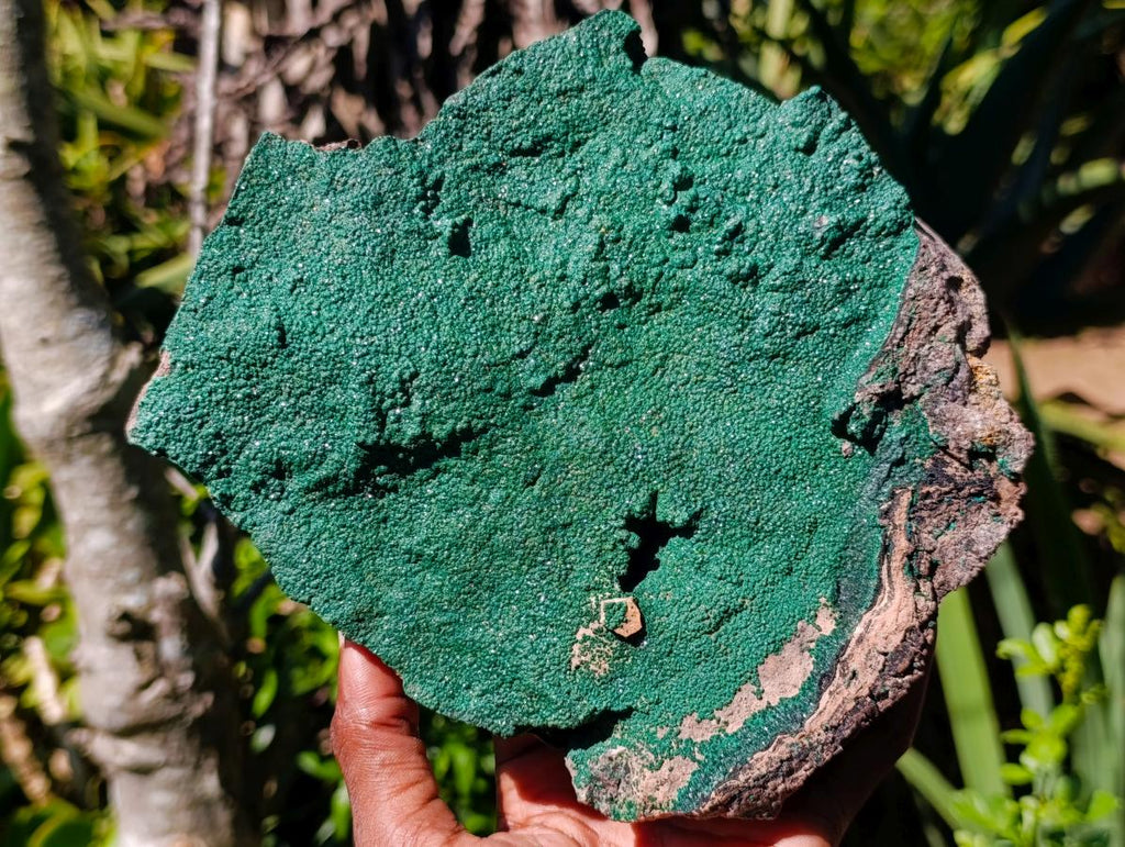 Natural Large Botryoidal Crystalline Malachite Plate Specimen x 1 From Tenke Fungurume, Congo