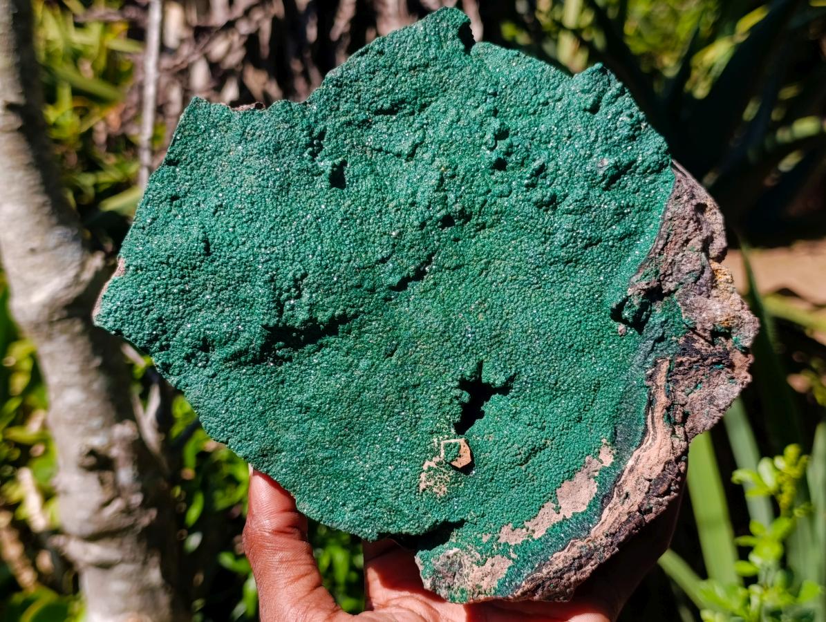 Natural Large Botryoidal Crystalline Malachite Plate Specimen x 1 From Tenke Fungurume, Congo