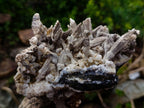 Natural Rare and Classic Lesotho Drusy Coated Spearhead Sceptre Calcite Specimen x 1 From Albert's Mountain, Lesotho