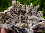 Natural Rare and Classic Lesotho Drusy Coated Spearhead Sceptre Calcite Specimen x 1 From Albert's Mountain, Lesotho