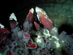 Natural Rare and Classic Lesotho Drusy Coated Spearhead Sceptre Calcite Specimen x 1 From Albert's Mountain, Lesotho