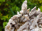 Natural Rare and Classic Lesotho Drusy Coated Spearhead Sceptre Calcite Specimen x 1 From Albert's Mountain, Lesotho