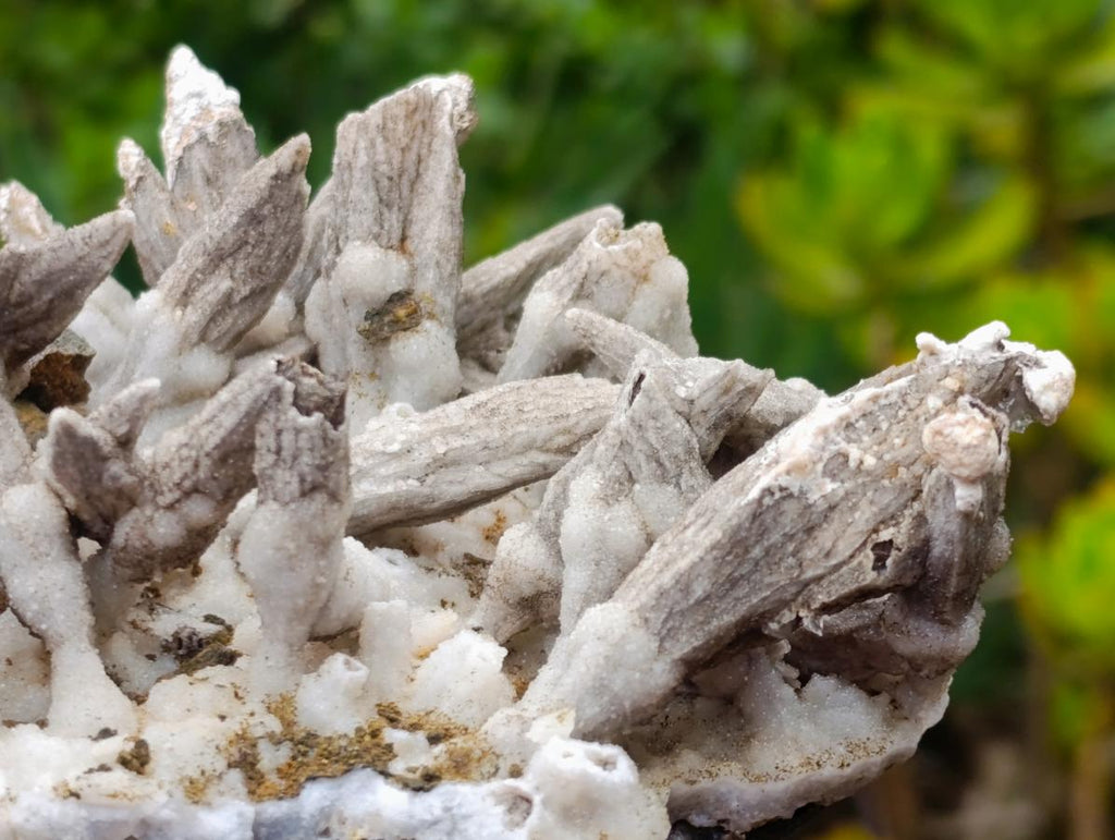 Natural Rare and Classic Lesotho Drusy Coated Spearhead Sceptre Calcite Specimen x 1 From Albert's Mountain, Lesotho