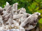 Natural Rare and Classic Lesotho Drusy Coated Spearhead Sceptre Calcite Specimen x 1 From Albert's Mountain, Lesotho