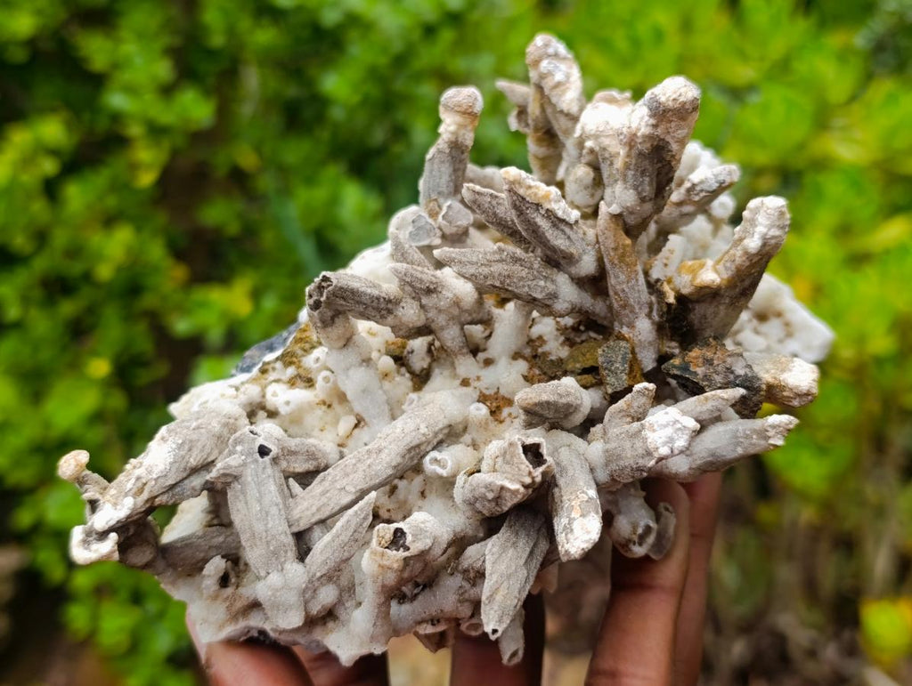 Natural Rare and Classic Lesotho Drusy Coated Spearhead Sceptre Calcite Specimen x 1 From Albert's Mountain, Lesotho