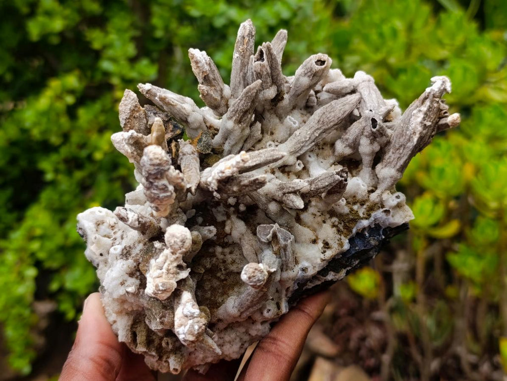 Natural Rare and Classic Lesotho Drusy Coated Spearhead Sceptre Calcite Specimen x 1 From Albert's Mountain, Lesotho